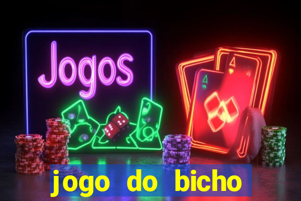 jogo do bicho crash bingo